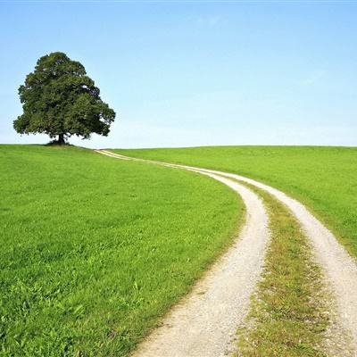 海星体育app下载ios